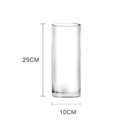 墨斗鱼 玻璃花瓶透明富贵竹花瓶 简约直筒款25cm7826
