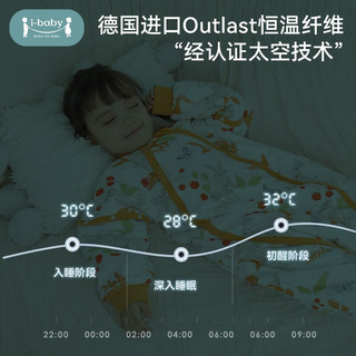ibaby i-baby 夹棉系列 D66020 婴儿长袖分腿式睡袋 暖心款 芳洲鹦鹉 100码