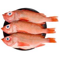 MPDQ 红石斑鱼 600-700g 3条