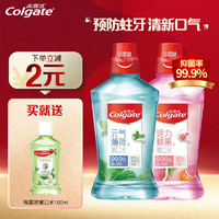 Colgate 高露洁 漱口水500ml 含氟无酒精温和不刺激杀菌冰爽 2瓶