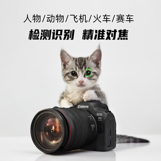 Canon 佳能 EOSR6二代全画幅高端专业微单数码照相机视频直播高清相机 R6二代单机身+eos包 （不含镜头）