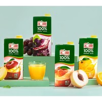 汇源 100%果汁 1L*2盒（橙汁+葡萄汁）