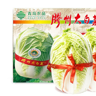 LVYUANHEXIN 绿源禾心 胶州大白菜 5kg