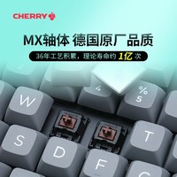 CHERRY 樱桃 机械键盘KC200有线键盘全键盘108键