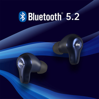 海贝音乐 HiBy 海贝WH2真无线蓝牙耳机TWS入耳式蓝牙5.2LDAC音乐耳麦兼容苹果安卓系统 双铁版
