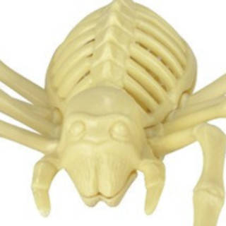 beikemaila 贝可麦拉 化石考古挖掘玩具-远古蜘蛛