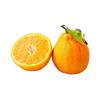乌岽山 柑橘 大果 单果75mm+ 2.5kg