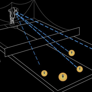 ZOUOPONG 左乒右乓 Z6 PRO 乒乓球发球机 黑色（发球机+200个球+捡球器）