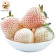DEARLYBELOVED日本品种淡雪草莓天使AE 两盒 600g
