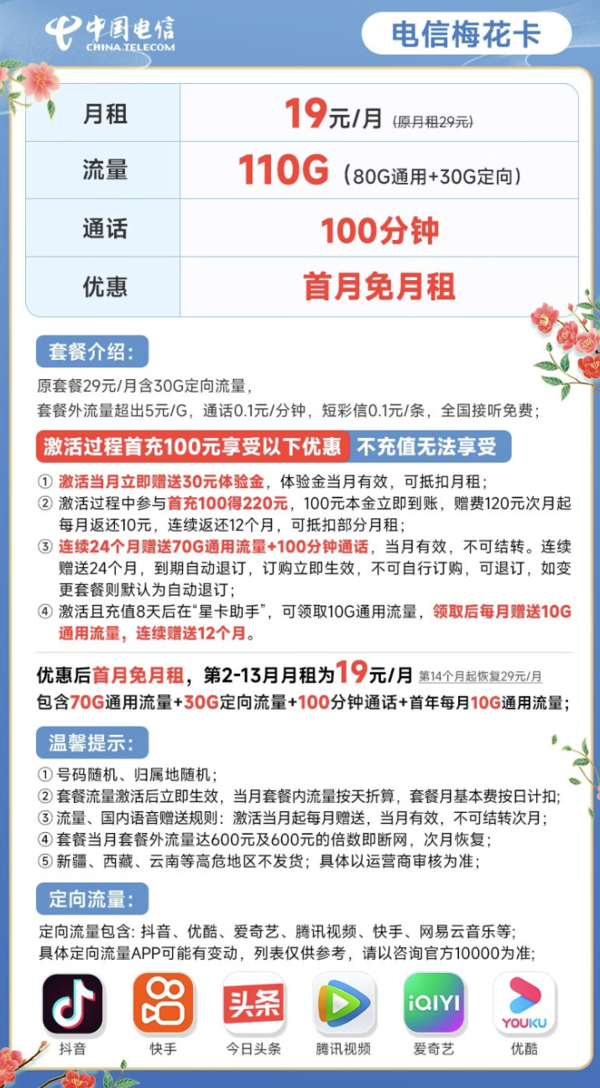 CHINA TELECOM 中国电信 梅花卡19元月租（110G全国流量+100分钟通话）激活送30