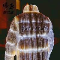 MONCLER 盟可睐 燎原 Moncler x Palm Angles 联名限量款发光纤维材质羽绒服外套