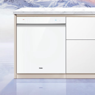 Haier 海尔 晶彩系列 W5000 嵌入式洗碗机