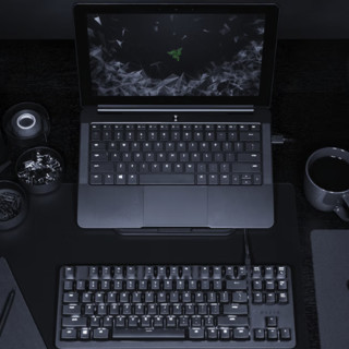 RAZER 雷蛇 黑寡妇蜘蛛 轻装版 87键 有线机械键盘 黑色 雷蛇橙轴 单光
