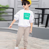玩具熊 男童裤子春秋款束脚裤儿童外穿童装2023新款潮工装裤中小童休闲裤