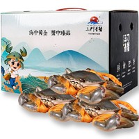 掌昕鲜 三门青蟹 全母蟹（6两-7两/只）3只 生鲜活螃蟹海鲜水产中秋国庆送礼盒装