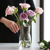 甜蜜点 北欧透明玻璃花瓶鲜切花插花水培花器客厅玄关床头办公室摆件