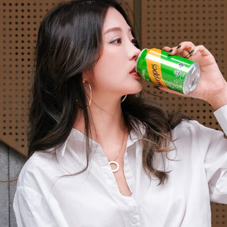 Schweppes 怡泉 苏打水 忌廉味