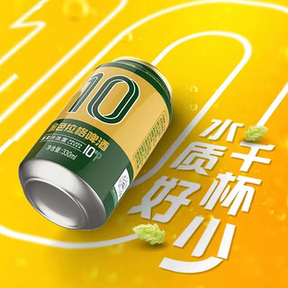 CHEERDAY 千岛湖啤酒 10度 金色拉格 330ml*24听