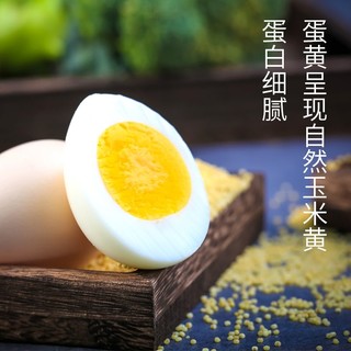 晋龙食品 新鲜鸡蛋40枚(约4斤左右)