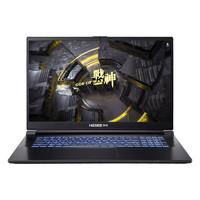 Hasee 神舟 G8R9 17.3英寸游戏本（i9-13900H、16GB、1TB、RTX 4060）