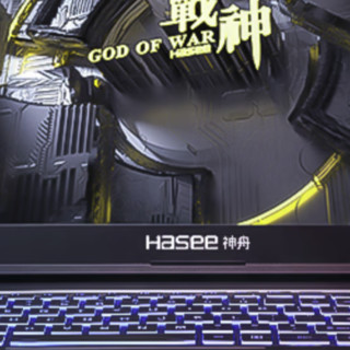 Hasee 神舟 战神 TX9R7 十三代酷睿版 16.0英寸 游戏本 黑色（酷睿i7-13700HX、RTX 4070 8G、16GB、1TB SSD、2.5K、IPS、165Hz）