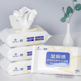 Lam Pure 蓝漂 京东PLUS会员联名 湿厕纸 40片*10包