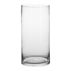 盛世泰堡 玻璃花瓶摆件水培透明水养植物插花水培容器客厅装饰直筒款1220