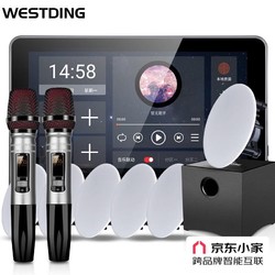 WESTDING 威斯汀 XT12家庭背景音乐主机系统套装 XT12+809*6+W-2低音炮