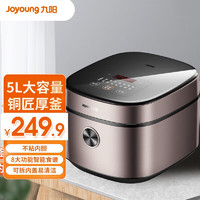 Joyoung 九阳 F50FZ-F510 电饭煲 5L