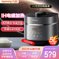 Joyoung 九阳 电压力锅6L晶瓷内胆+5.5L铜匠厚釜