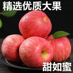 FUJIIRYOKI 富士 正宗富士苹果新鲜脆甜冰糖心苹果应季水果五斤整箱包邮