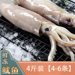 鲜冻鱿鱼（4-6条/4斤） 船冻鱿鱼整条