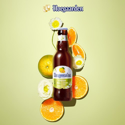Hoegaarden 福佳 琥珀橘啤酒比利时风味 福佳精酿果啤 248ml*24瓶 临期促销