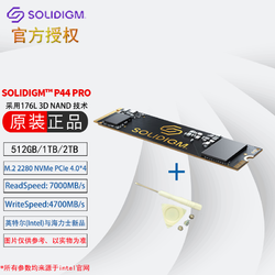 intel 英特尔 Solidigm™ P44M.2 PCIe 4.0