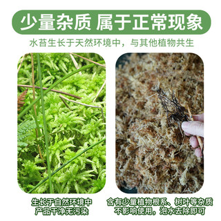 花彩师干水苔文心兰蝴蝶兰养兰花专用土智利7A星进口毛毛虫水苔盒