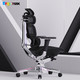 PLUS会员：Ergomax 迩高迈思 Evolution 2 Max人体工学电脑椅 魅力黑