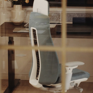 HAWORTH 海沃氏 Fern人体工学椅高端电竞椅家用电脑椅居办公椅学习椅含头枕腰托 灰色座面顶配