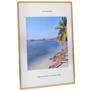 LINYI PHOTO FRAME 林益相框 LY006 简约铝合金相框 金色 21*29.7cm 立体款