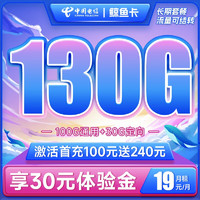 中国电信 长期鲸鱼卡 19元月租（100G通用流量+30G定向流量）长期套餐 首月免费