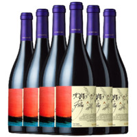MONTES 蒙特斯 富乐 阿帕尔塔谷西拉干型红葡萄酒 6瓶*750ml套装 整箱装