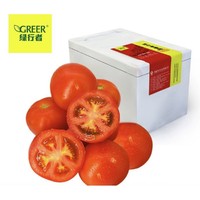 GREER 绿行者 红又红西红柿番茄 5斤