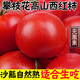 3人团10斤西红柿