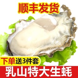 乳山新鲜牡蛎鲜活带壳贝类海鲜水产海蛎子净重5斤