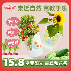 ecoeY 生态E园 儿童种植，春季客厅清新栽培小盆栽