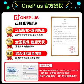 OnePlus 一加手表 智能时尚户外运动手表 男女适用 两周续航/蓝牙通话/高帧流畅/Warp闪充 银灰