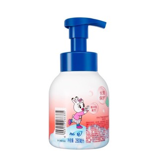 Safeguard 舒肤佳 甜桃派对健康泡泡洗手液 280ml