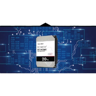 Western Digital 西部数据 HC560 3.5英寸 企业级硬盘 20TB（7200rpm、512MB）WUH722020ALE6L4