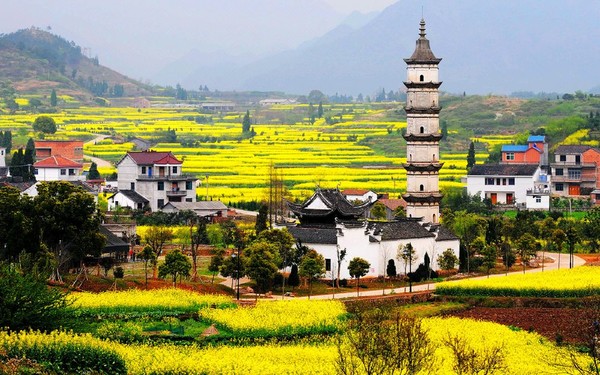 坐拥200亩天然林地，环山抱水而建！杭州富春芳草地园景双床房1晚含早及双人皮划艇等