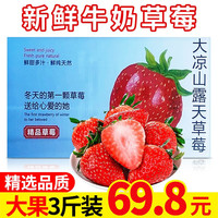 沙窝曙光(shawoshuguang)草莓新鲜丹东99红颜草莓大凉山草莓时令生鲜水果 大凉山草莓3斤装(大果)