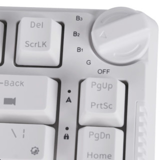 ROYAL KLUDGE H81 81键 2.4G蓝牙 多模无线机械键盘 白色 青瓷轴 RGB